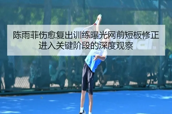 陈雨菲伤愈复出训练曝光网前短板修正进入关键阶段的深度观察